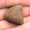 Stone Meteorite - Gao Guenie - 20.95 grams