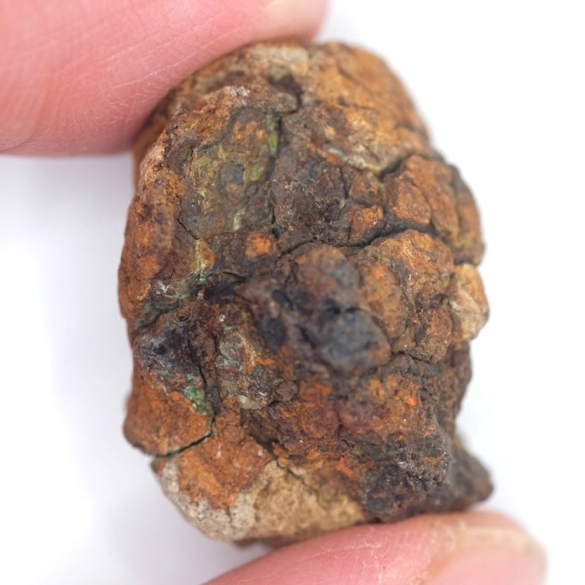 Meteorit - Pallasit - Sericho - 22,78 gramů
