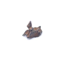 Meteorite Imilac - Pallasite 0.20 grams