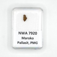 Pallasit - NWA 7920 - 0,24 gramů
