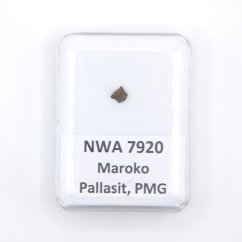 Pallasite - NWA 7920 - 0.11 grams
