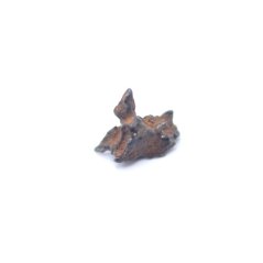 Meteorite Imilac - Pallasite 0.20 grams