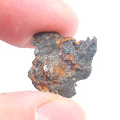 Iron meteorite - Sichote Alin -  grams-KOPIE