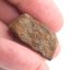 Stone Meteorite - Gao Guenie - 21.70 grams