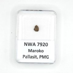 Pallasit - NWA 7920 - 0,24 gramů