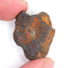 Meteorite - Pallasite - Sericho - 22.96 grams
