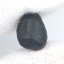 Atacamaite - Chile - 0.57 grams