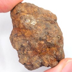 Meteorit - Pallasit - Sericho - 77,89 gramů
