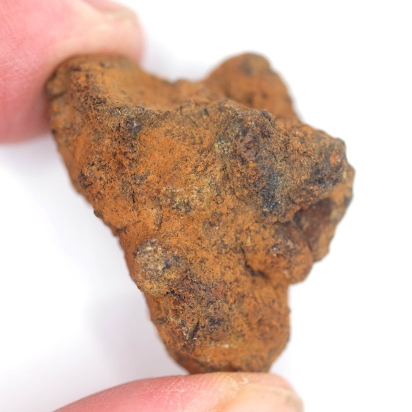 Meteorit - Pallasit - Sericho - 25,46 gramů