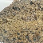 NWA 14056 - Diogenite