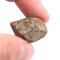 Stone Meteorite - Gao Guenie - 14.69 grams