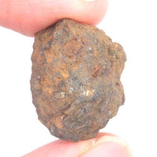 Meteorite - Pallasite - Sericho - 1.44 grams