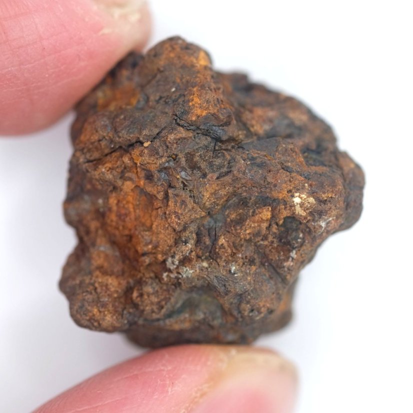 Meteorit - Pallasit - Sericho - 25,95 gramů