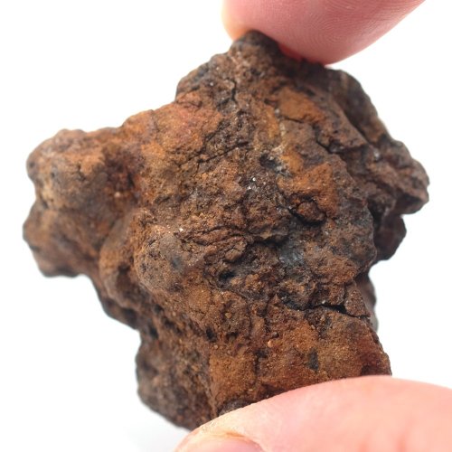 Meteorite - Pallasite - Sericho - 79.05 grams