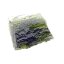 Natural moldavite 2.30 grams
