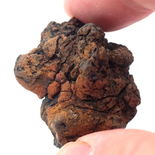 Pallasite - Sericho - 35.86 grams