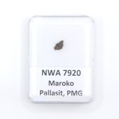 Pallasite - NWA 7920 - 0.16 grams
