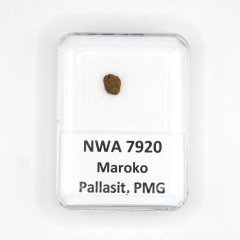 Pallasit - NWA 7920 - 0,25 gramů