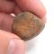 Stone Meteorite - Gao Guenie - 23.49 grams