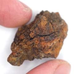 Meteorite - Pallasite - Sericho - 23.26 grams