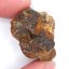 Meteorit - Pallasit - Sericho - 19,55 gramů