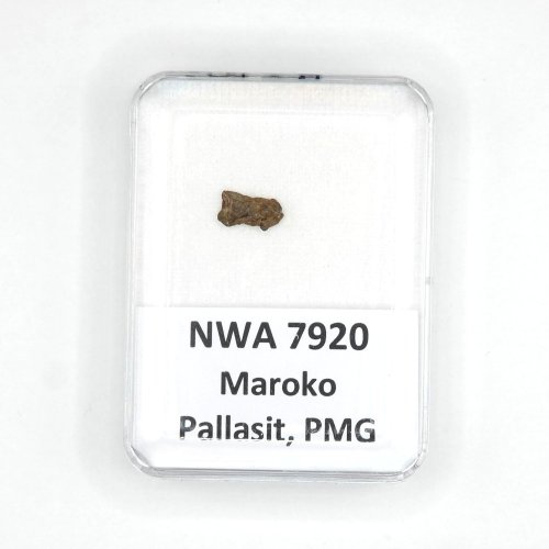 Pallasit - NWA 7920 - 0,21 gramů