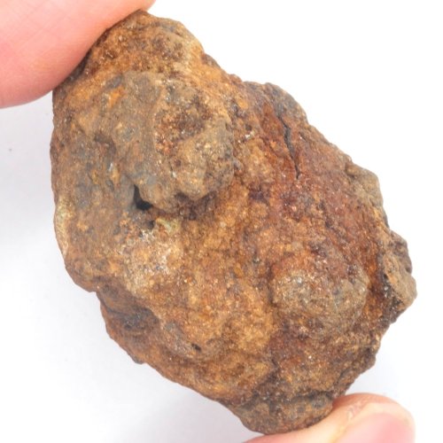 Meteorit - Pallasit - Sericho - 77,89 gramů