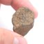 Kamenný meteorit - Gao Guenie - 23,30 gramů