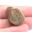 Kamenný meteorit - Gao Guenie - 23,30 gramů