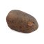 Kamenný meteorit - Gao Guenie - 22,54 gramů