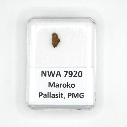 Pallasite - NWA 7920 - 0.24 grams