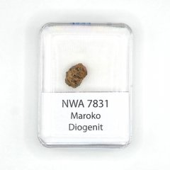 Stone meteorite - NWA 7831 - 1.25 grams