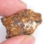 Meteorit - Pallasit - Sericho - 25,10 gramů