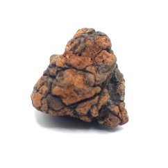 Pallasite - Sericho - 12.83 grams