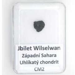 Stone meteorite - Jbilet Winselwan - 0.28 grams