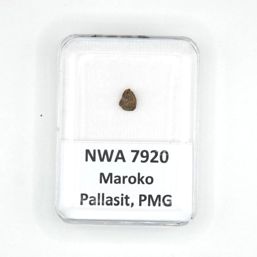 Pallasit - NWA 7920 - 0,24 gramů Pallasit - NWA 7920 - 0,24 gramů