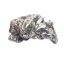 Železný meteorit - Campo del Cielo - 43,46 gramů