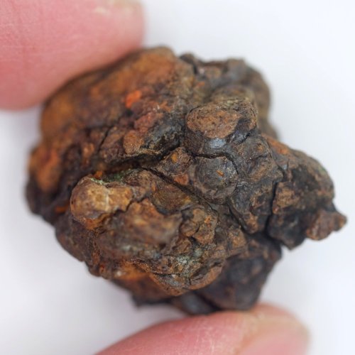 Meteorit - Pallasit - Sericho - 25,29 gramů
