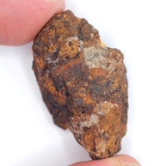 Meteorite - Pallasite - Sericho - 21.48 grams