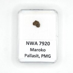 Pallasite - NWA 7920 - 0.23 grams