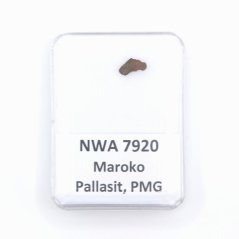 Pallasite - NWA 7920 - 0.11 grams