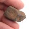 Stone Meteorite - Gao Guenie - 18.27 grams