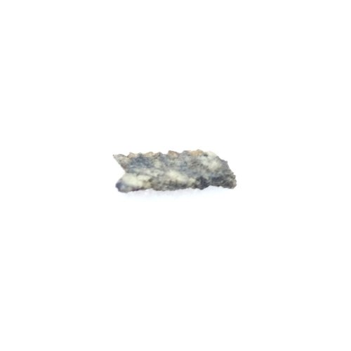 Meteorit NEA 053 - Shergottit (Mars) - Libye - 0,019 gramů