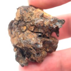 Pallasite - Sericho - 81,85 grams