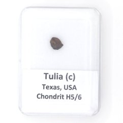 Stone Meteorite - Tulia (c) - 0.294 grams