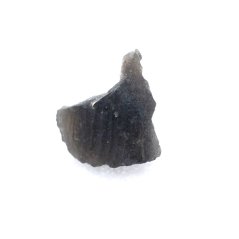 Natural moldavite 0.446 grams
