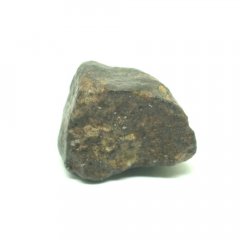 Stone meteorite - NWA 869 - 7.03 grams