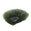 Natural moldavite 15.98 grams