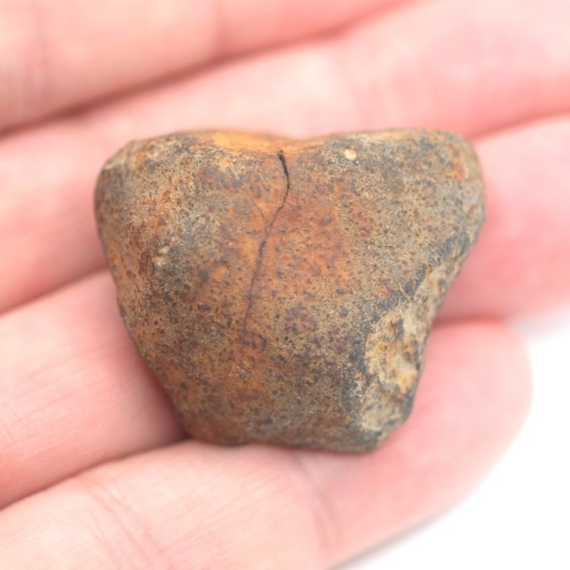 Kamenný meteorit - Gao Guenie - 36,65 gramů