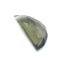 Moldavite cut - fantasy cut - 1.62 ct